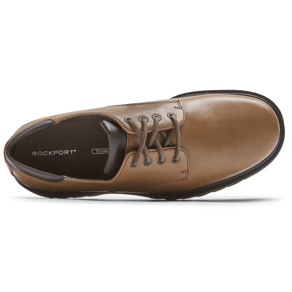 Oxfords Rockport Homem Marrom Escuro - Northfield Waterproof - 45378CUVB